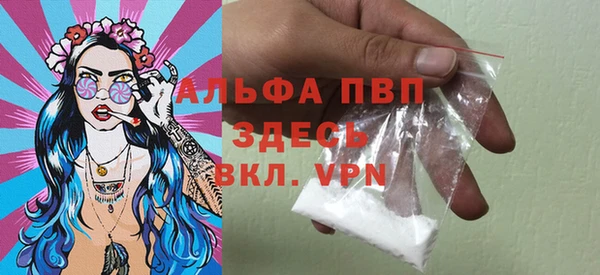трава Аркадак